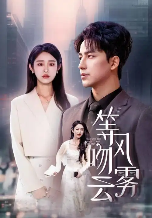 孤舟渡海 热播电视剧全集在线观看